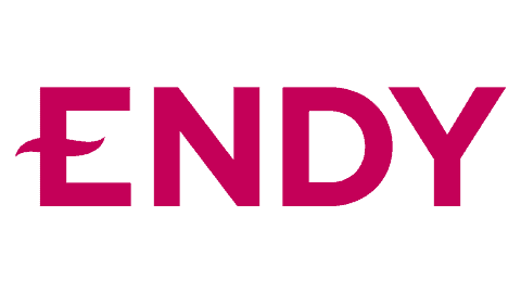 Endy Logo