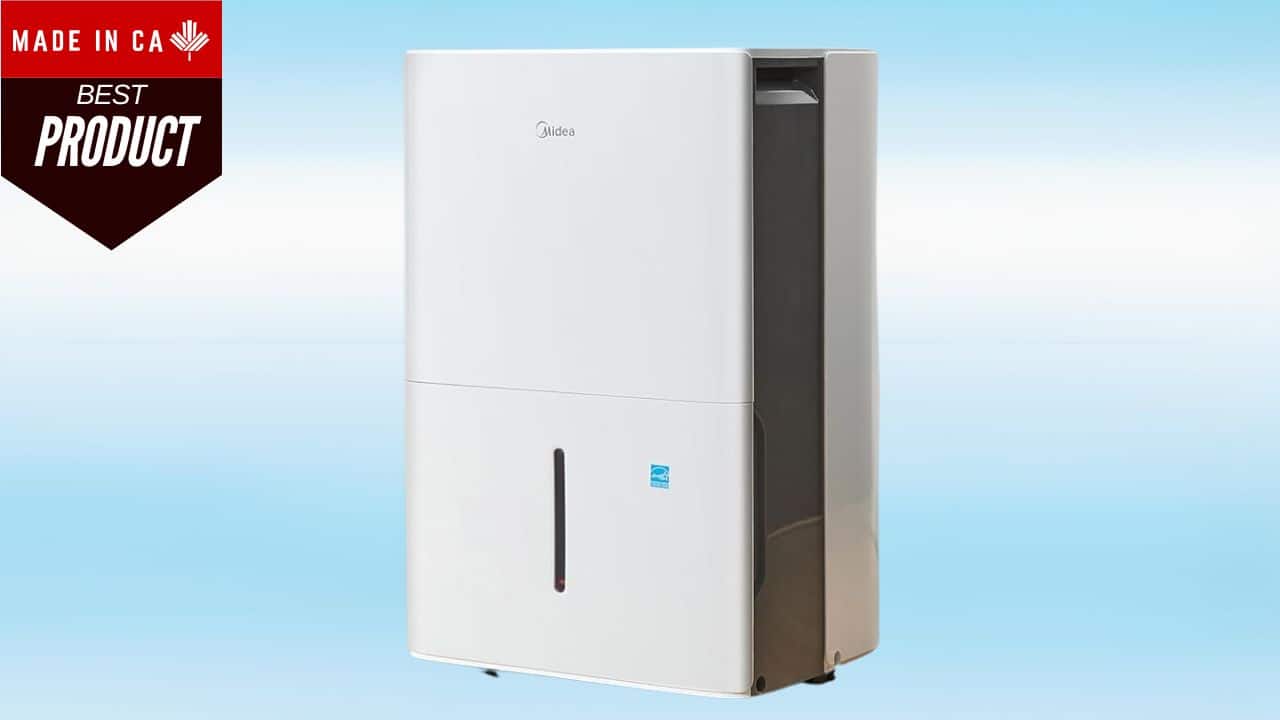 The 8 Best Dehumidifiers in Canada for 2025 | Made in CA
