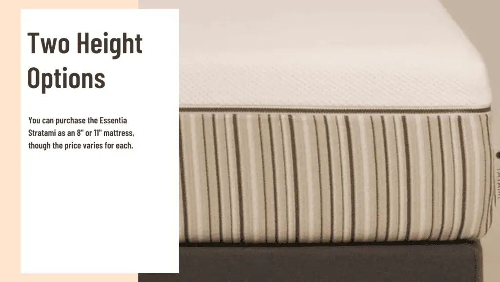Essentia Stratami General Feature