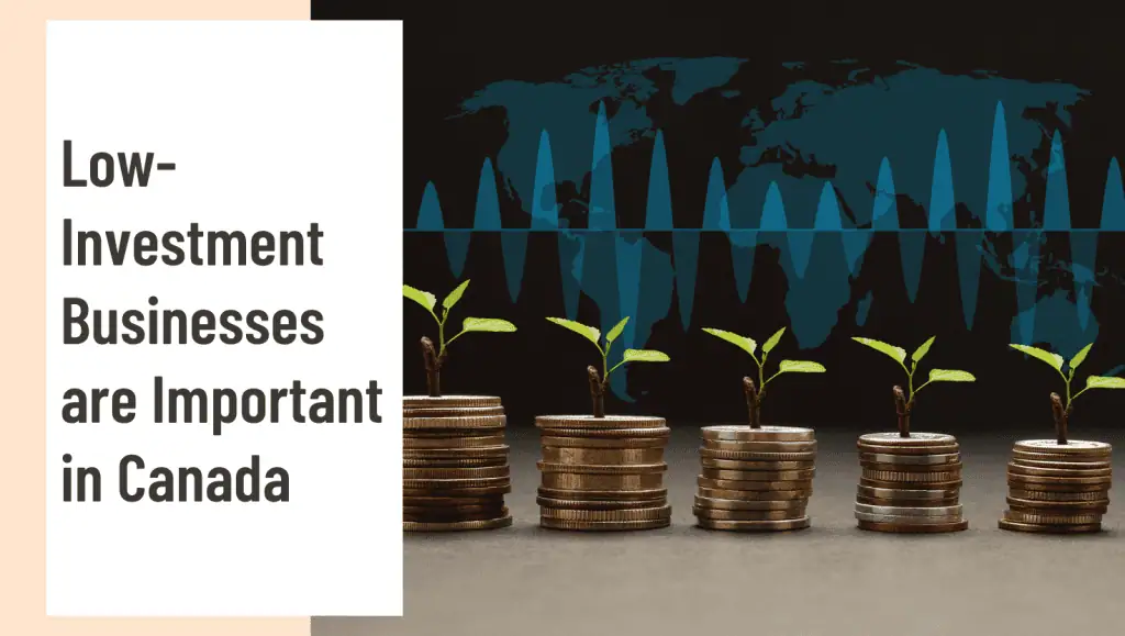 Low Cost Business Ideas Importance