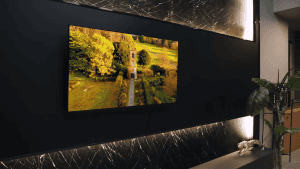 Crédit : Amazon (Le grand écran accessible sous Google TV)