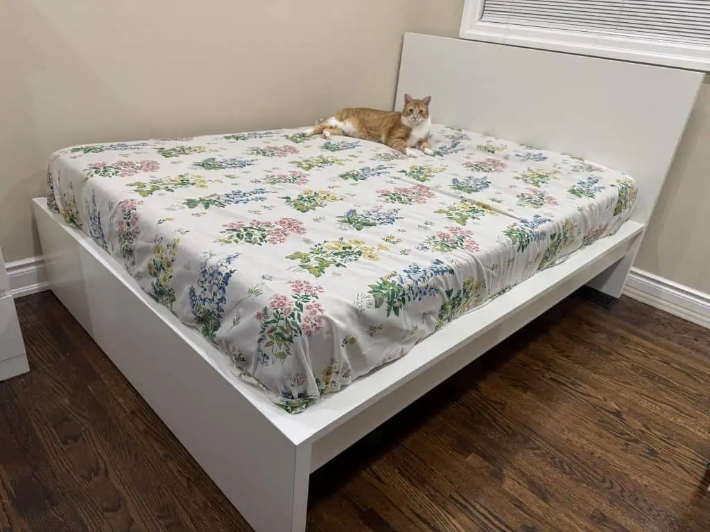 The Endy Mattress Testing