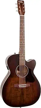 Art & Lutherie guitar