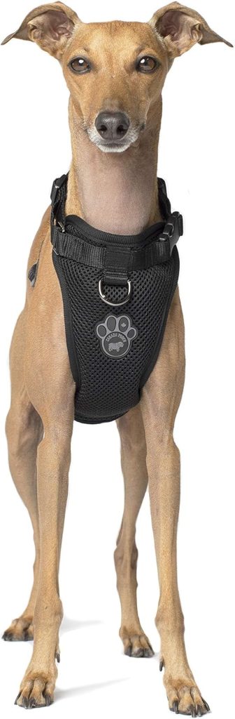 Canada pooch harness