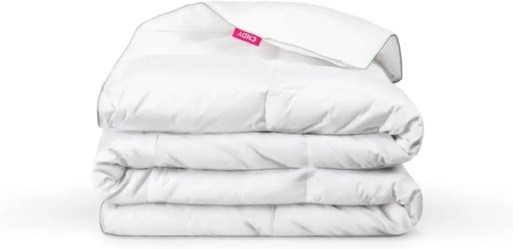 Endy Queen Comforter