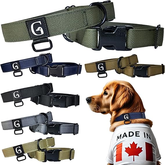 Gooseman's Gear dog collar