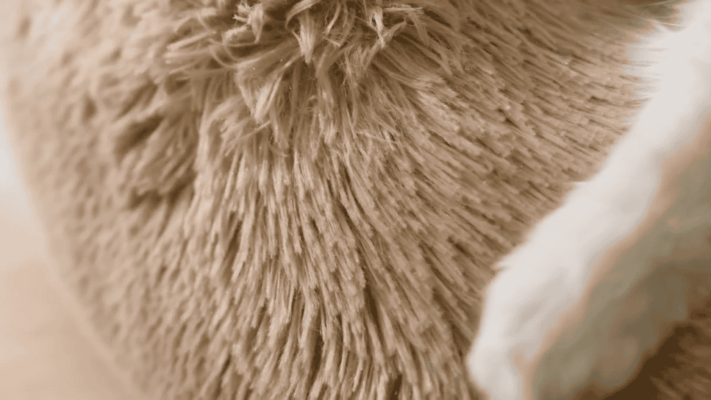 Bedsure Plush Round Dog Bed Fur Detail
