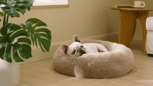Bedsure Plush Round Dog Bed