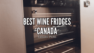 Best Wine Fridge in Canada