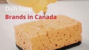 Dish Soap Brands in Canada