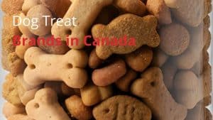 Dog Treat Brands in Canada