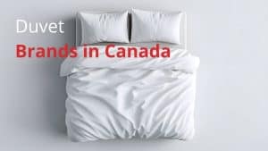Duvet Brands in Canada