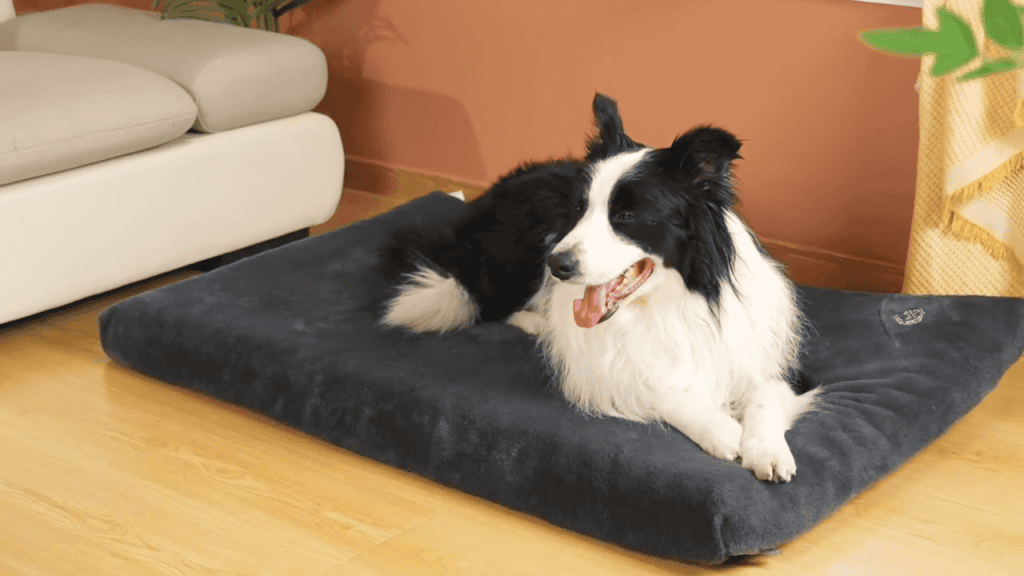 Empsign Dog Mattress