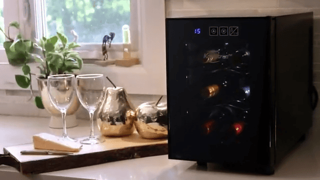 Koolatron Wine Fridge