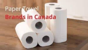 Paper Towel Brands in Canada