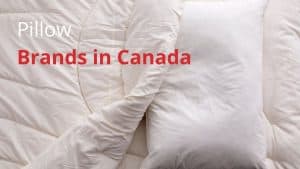 Pillow Brands in Canada