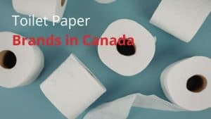 Toilet Paper Brands in Canada