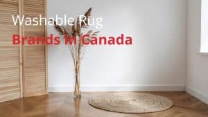 Washable Rug Brands in Canada