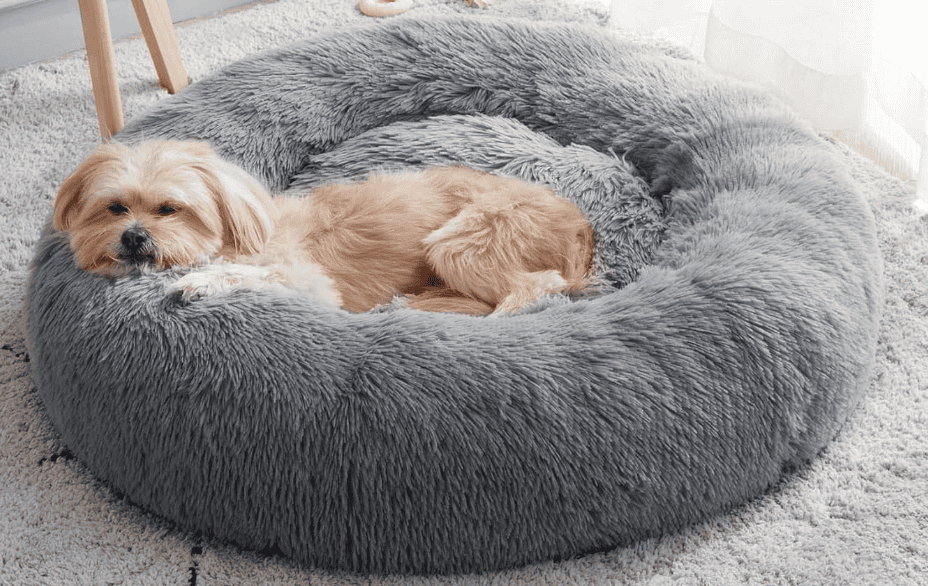 Western Home Calming Dog and Cat Bed