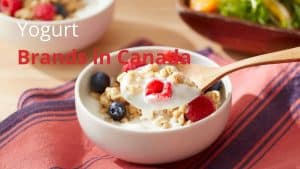 Yogurt Brands in Canada