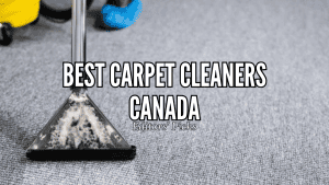 Best Carpet Cleaners in Canada