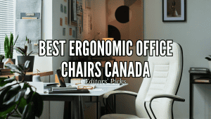 Best Ergonomic Office Chairs in Canada