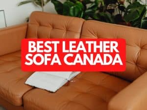 Best Leather Sofas in Canada