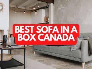 Best Sofa in a Box Canada