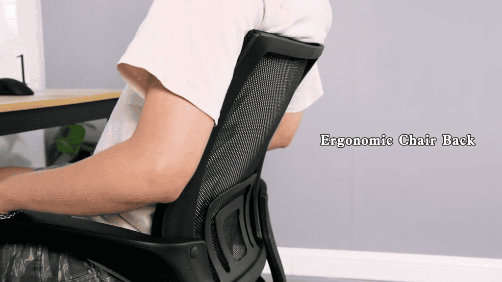 BestOffice Ergonomic Office Chair Back
