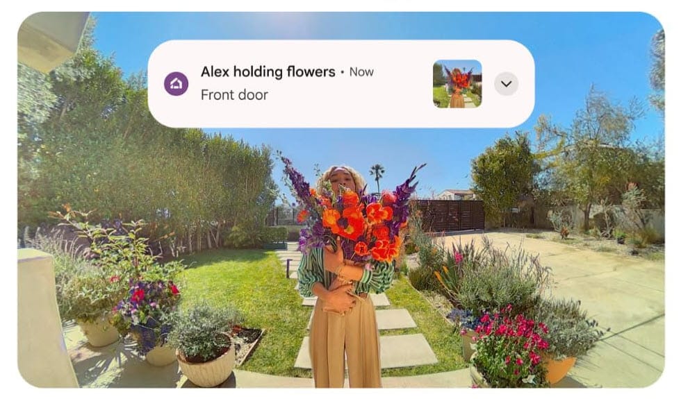 Google Nest Doorbell View