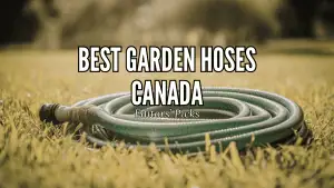 Best Garden Hoses Canada