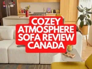 Cozey Atmosphere Sofa Review Canada