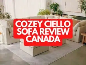 Cozey Ciello Sofa Review in Canada