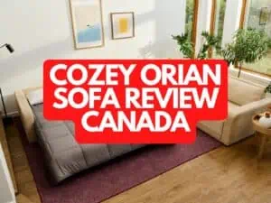 Cozey Orian Sofa Review Canada