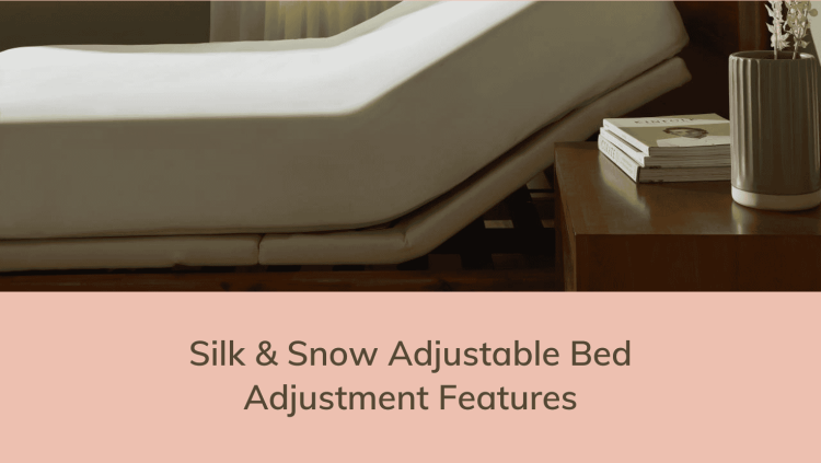 SS Adjustable Bed Adjustment Features